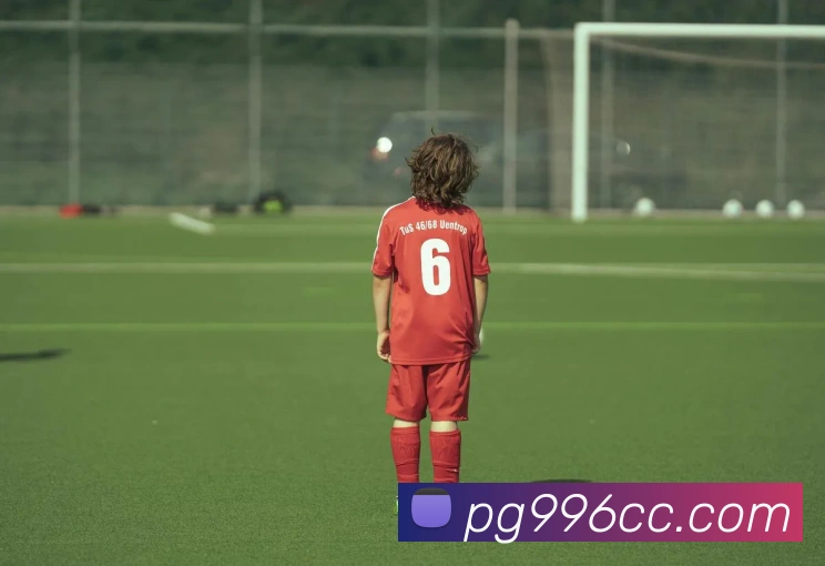 多彩内容专区